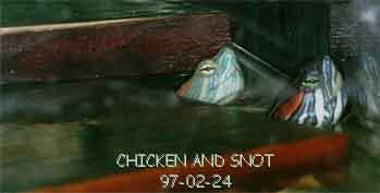 chicken and snot